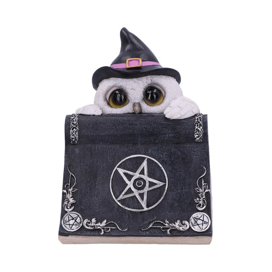 A white owl with a witch hat peeks over a large black book adorned with pentagrams and ornate silver designs, in a mystical setting.