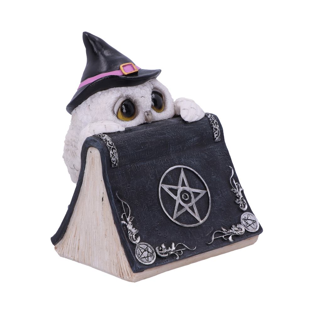 A small owl wearing a witch's hat peeks over a large, ornate book with pentacle decorations on the cover, set against a plain white background.