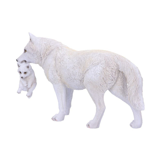 A white wolf carries a small pup gently in its mouth, standing against a plain white background.