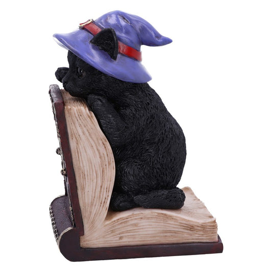 A black cat figurine wearing a purple witch hat leans against an open, decorative book, set on a plain white background.