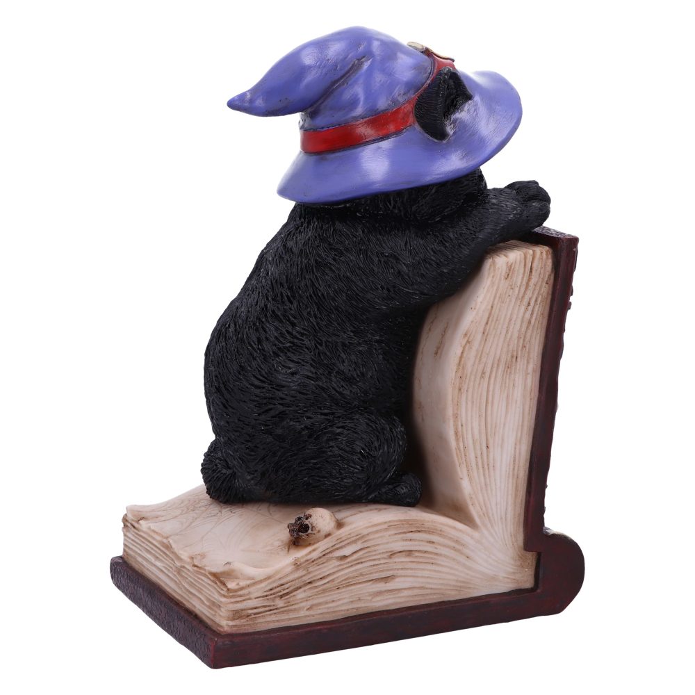 A black figurine of a cat wearing a purple witch hat sits atop an open book, facing away. The pages are textured, providing a rustic, whimsical ambiance.