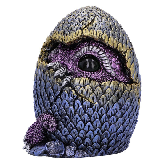 A dragon hatchling statue emerges from a cracked, blue and gold egg. The dragon's purple head and silver claws peek through the broken shell, revealing its large, glossy eye.