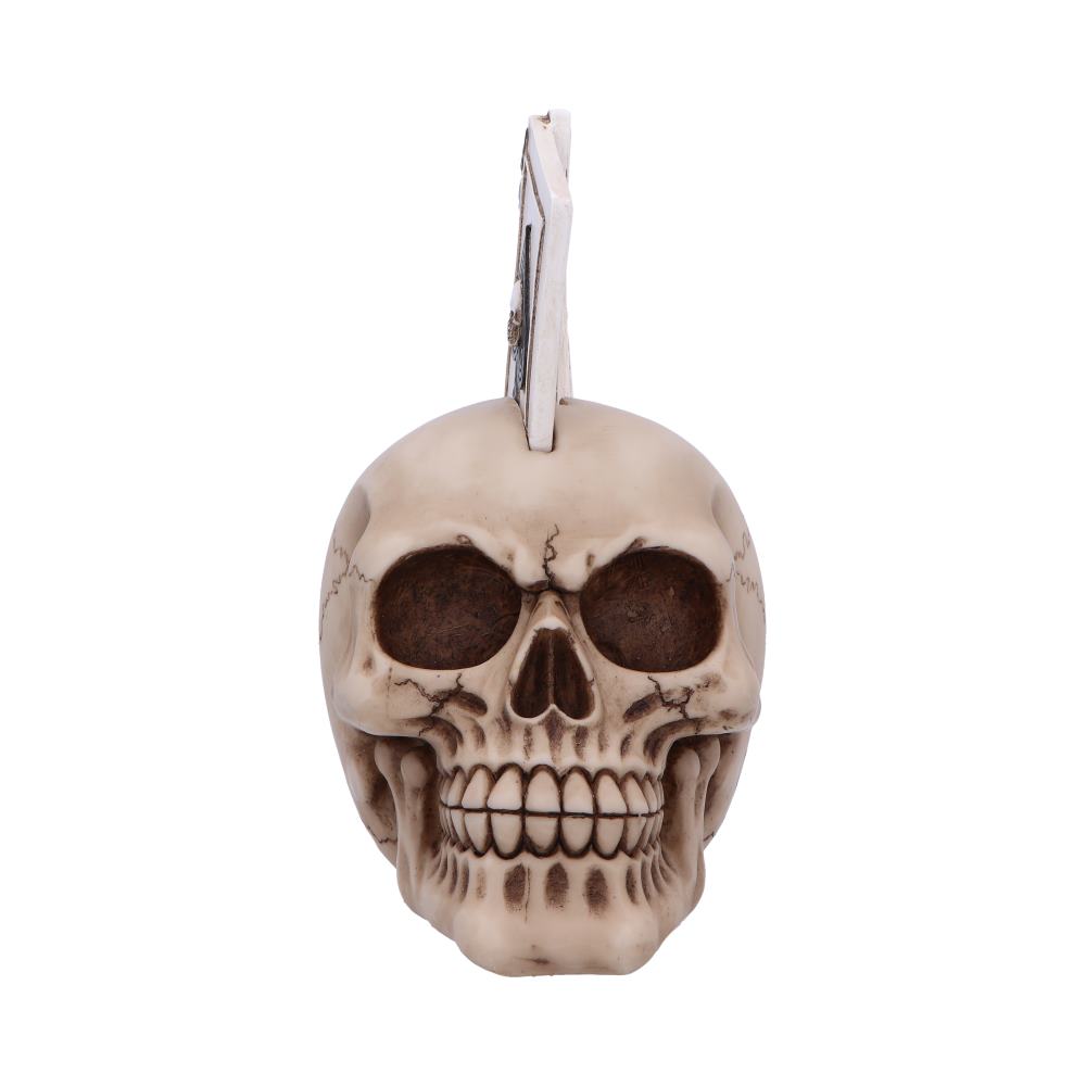 A detailed skull with prominent cracks is attached to a white clothespin, placed against a plain white background.