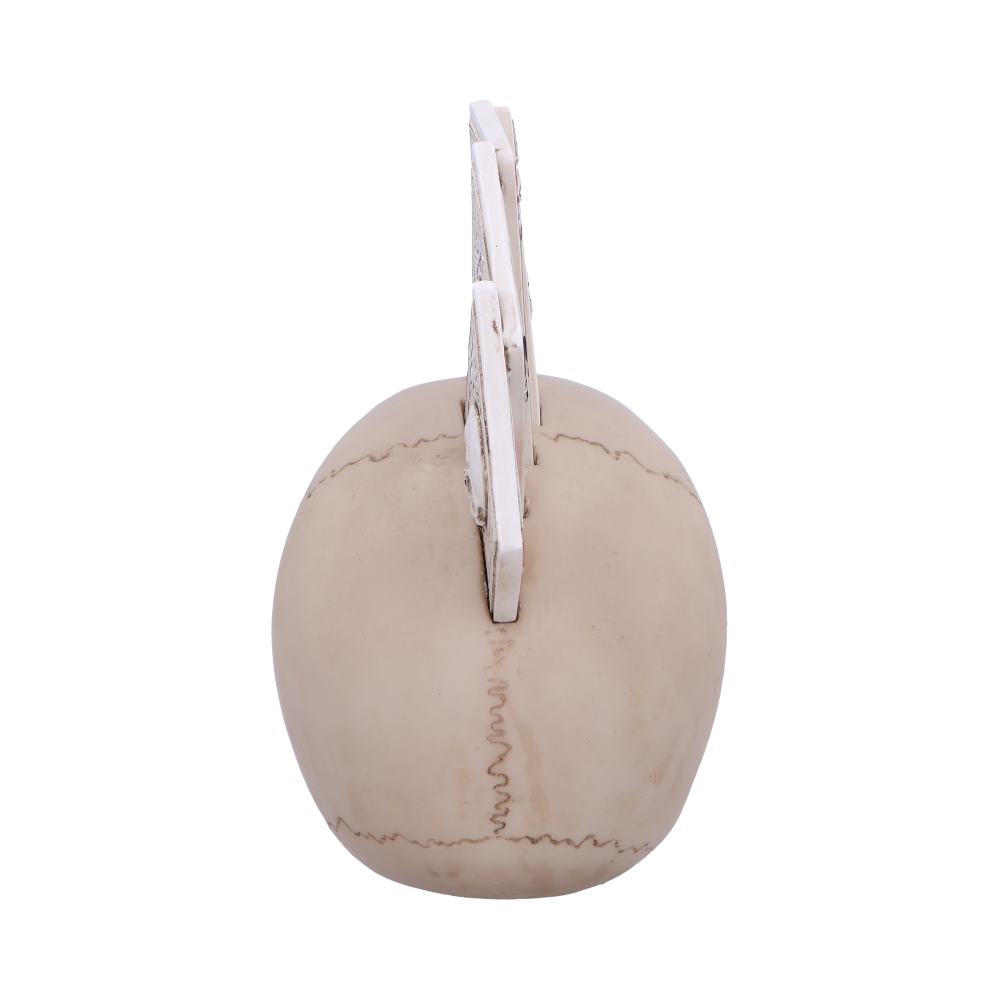 A beige, spherical object with visible stitching lines supports an upright white comb-like structure, isolated against a plain white background.