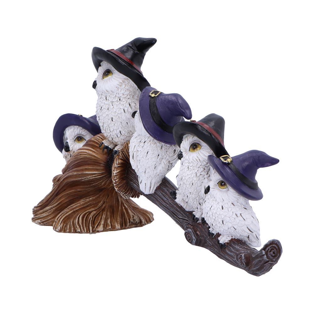 Feathered Broomstick 26cm