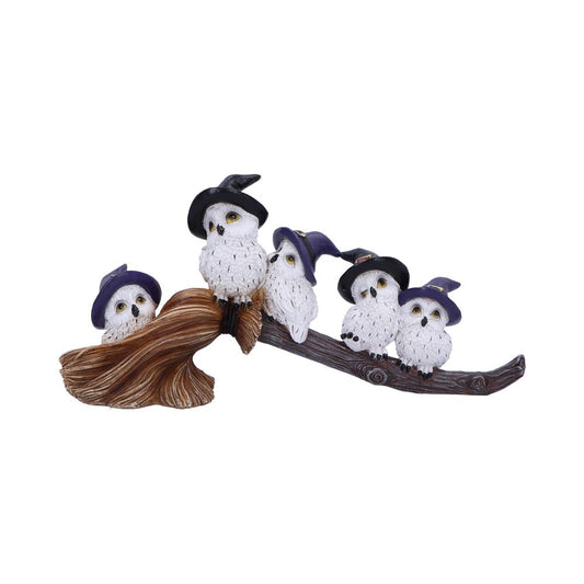 Five white owl figurines wearing purple and black witch hats perch on a curved branch, surrounded by a flowing wooden texture, against a plain background.