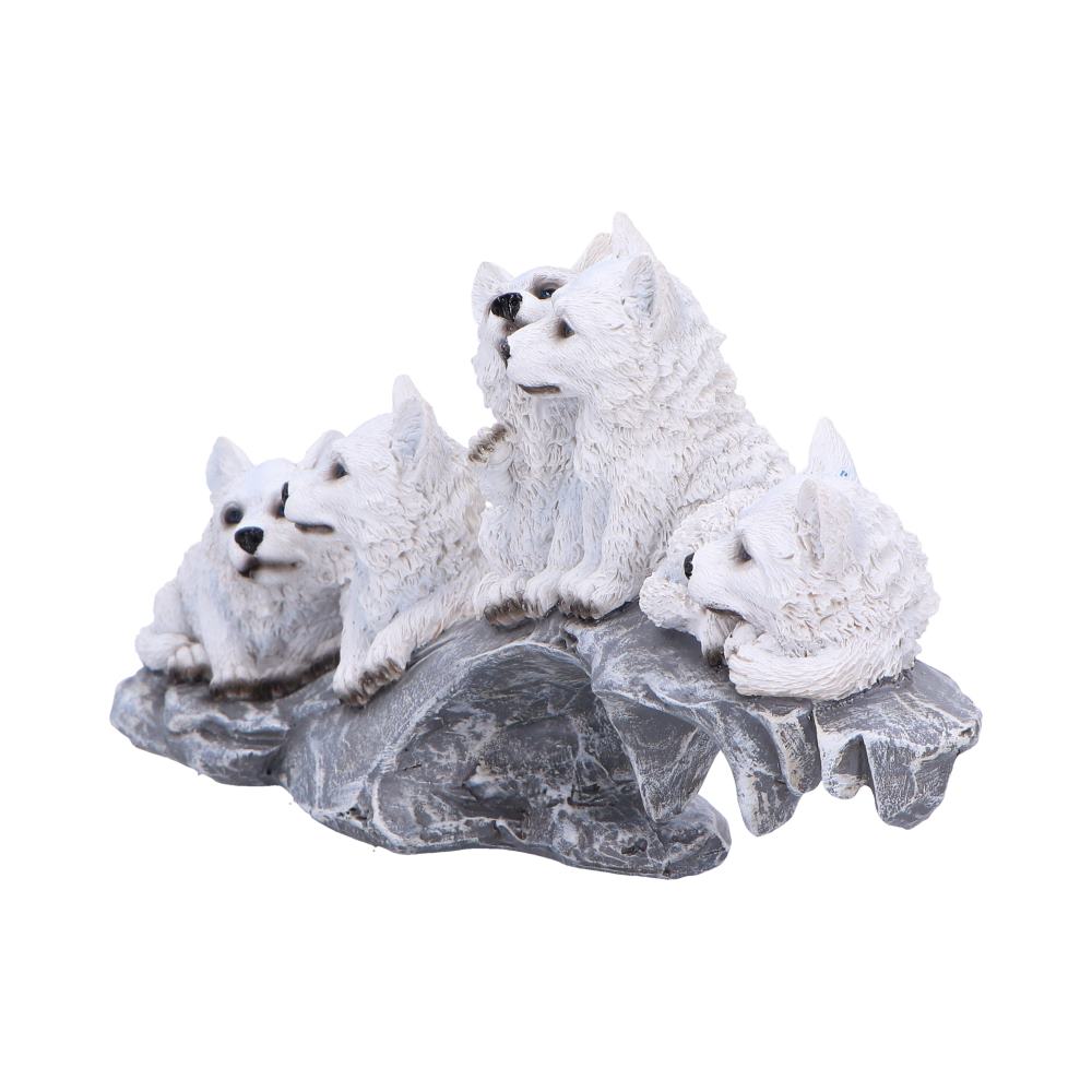 Winter Litter 25cm