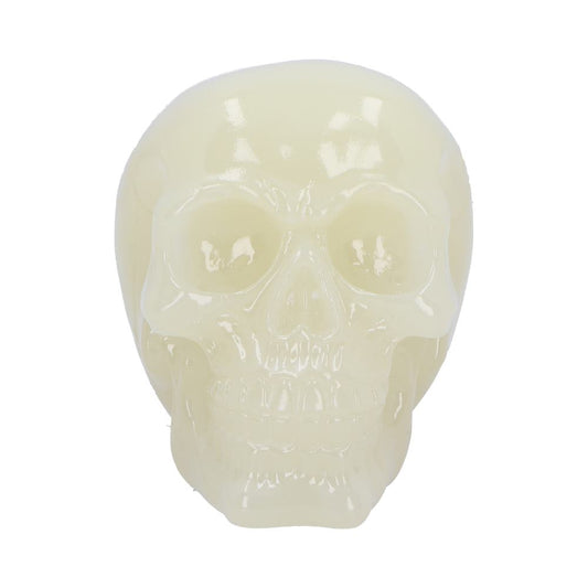 A translucent light green skull, facing forward, is centrally positioned against a plain white background. The skull appears smooth and slightly glossy, with no additional objects in view.