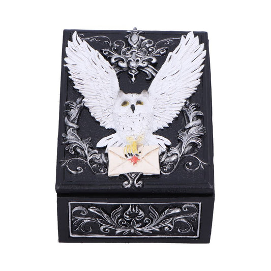 Black decorative box featuring a white owl with outstretched wings clutching a sealed envelope, set against silver ornamental scrollwork on the lid, photographed on a white background.