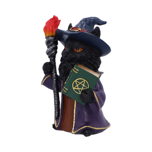 Black cat wizard figurine holds a flaming staff in one paw and a green book embossed with a pentagram in the other, standing in front of a plain white background.