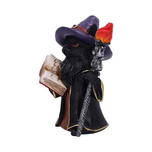 Black cat wearing a purple witch hat and black robe holds an open spellbook and a staff topped with a red flame while standing on a white background.