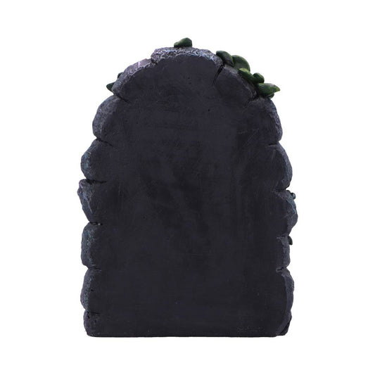 Dark weathered tombstone-shaped stone stands upright showing rough chiseled edges and small green leaves tucked near the top, isolated against a clean white background.