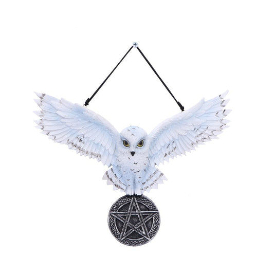 White snowy owl spreads wings while clutching a round pentagram medallion, suspended by a black hanging cord and screw against a plain white background.