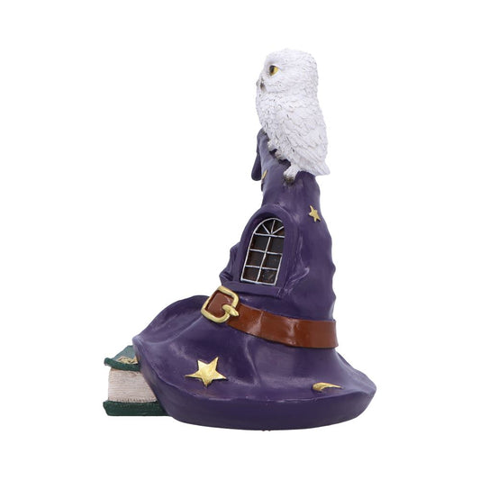 Purple wizard hat supports a perched white snowy owl while resting on a stacked book, decorated with gold stars, a brown belt and buckle, and a small arched window.