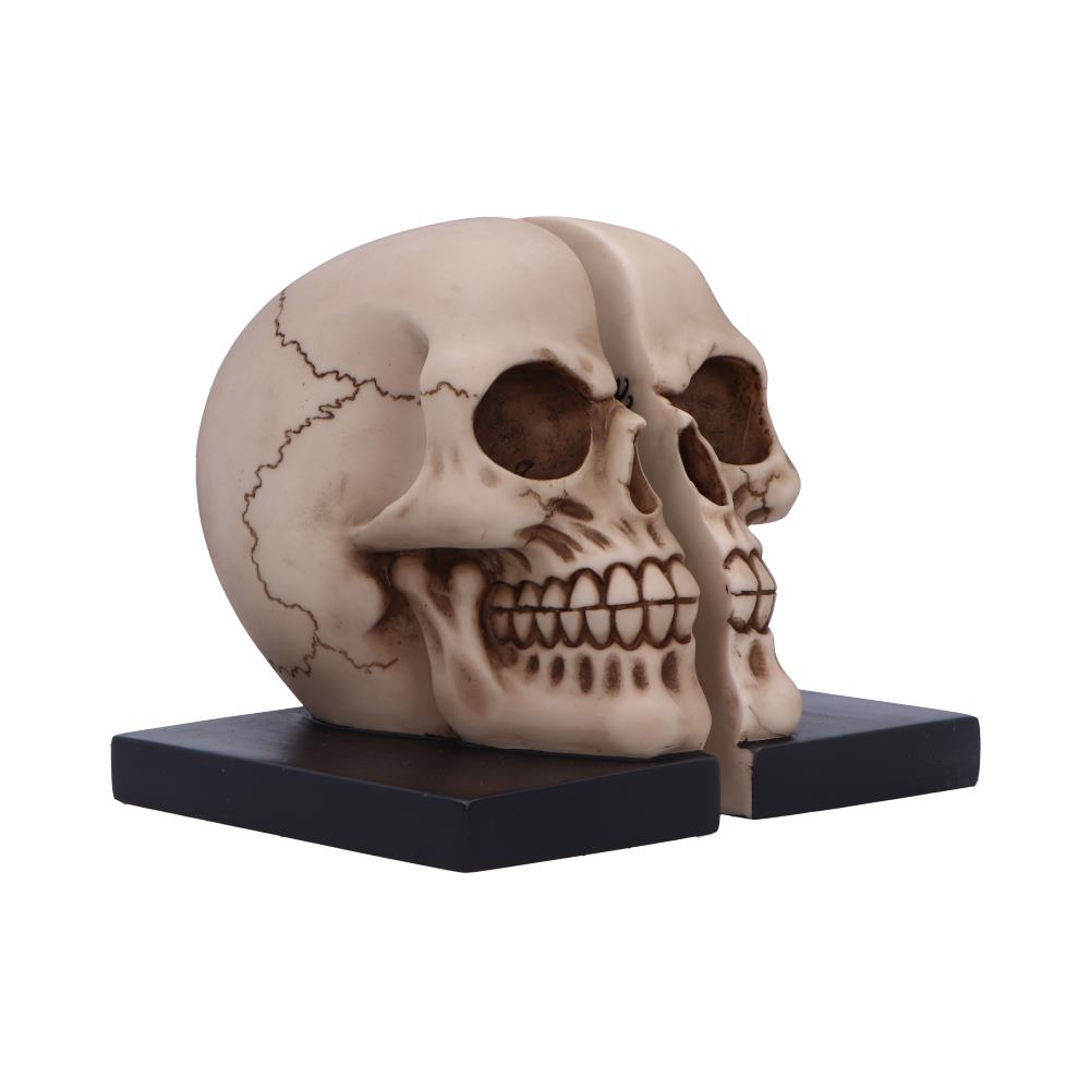 Pair of beige skull halves sit facing forward as bookend pieces on black rectangular bases against a plain white background, showing dark eye sockets, tooth details, and skull sutures.