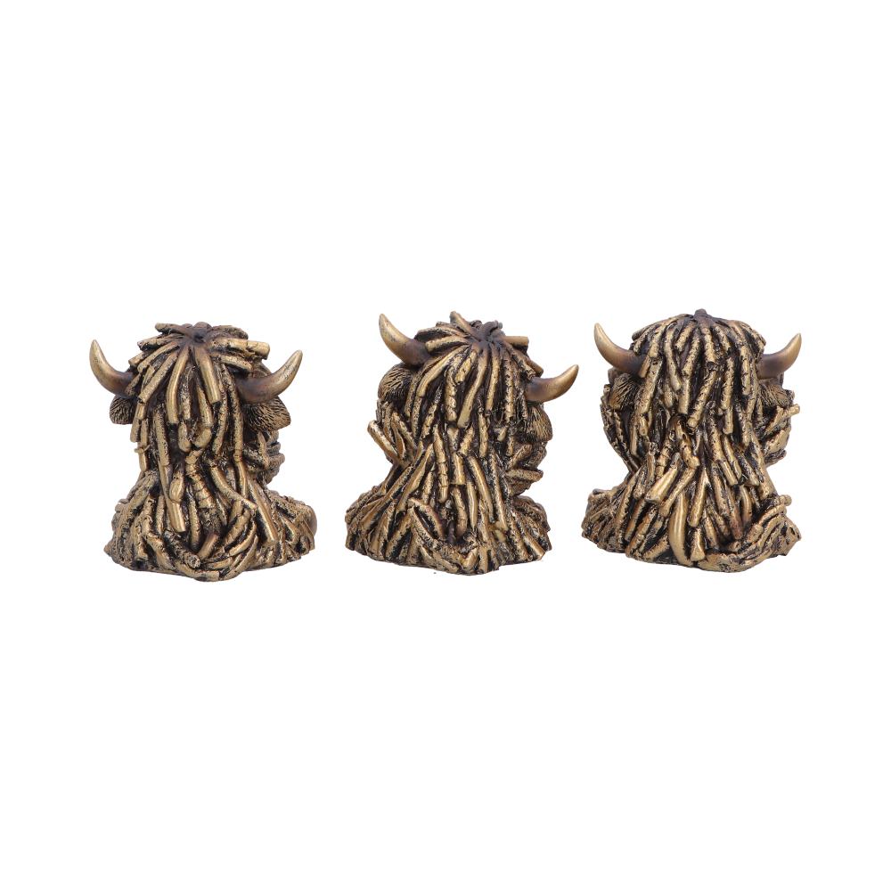 Three Wise Gold Highland Cows