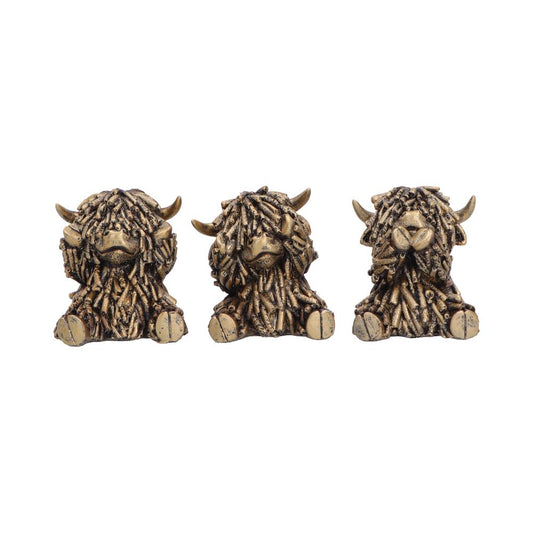 Three Wise Gold Highland Cows