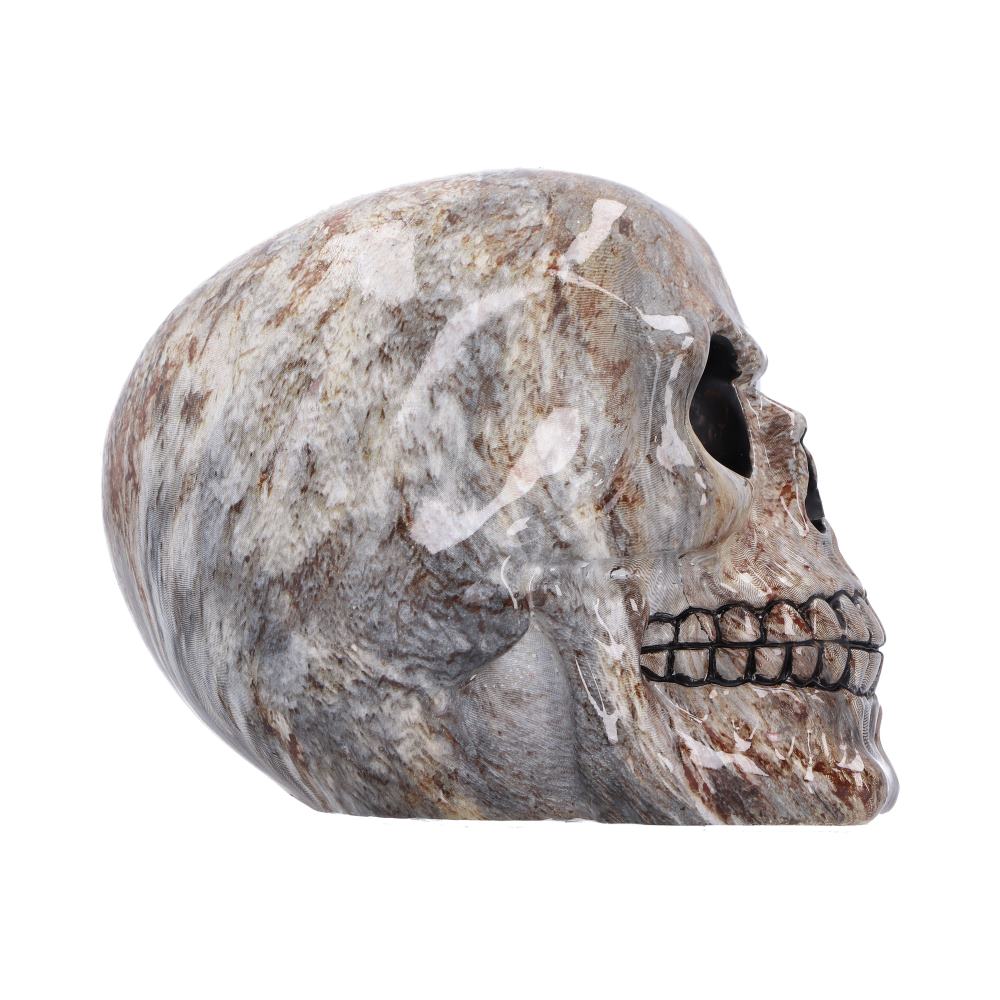 Marble Remains Skull Ornament - side profile of the polished stone-like resin cranium