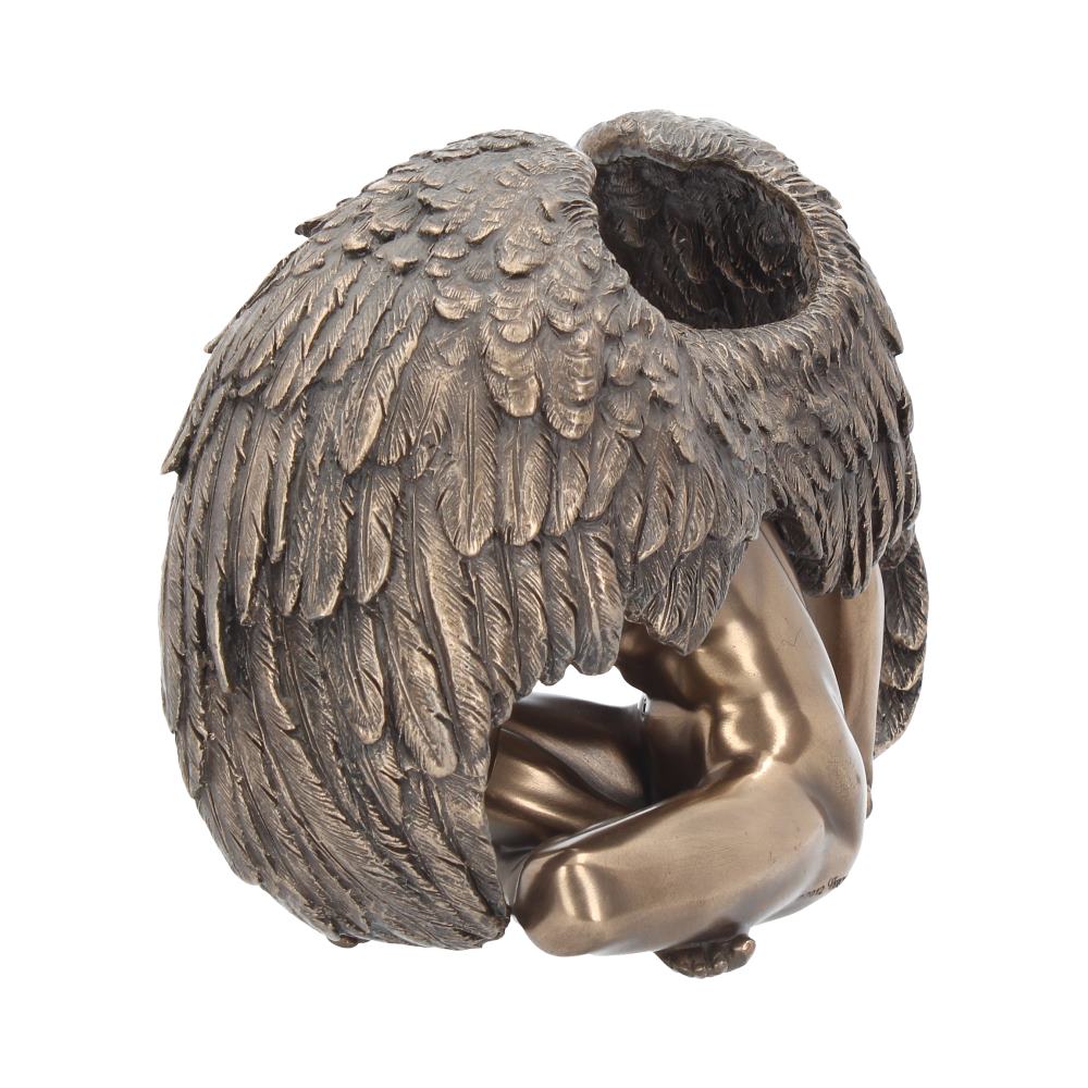 Angels Rest 20cm