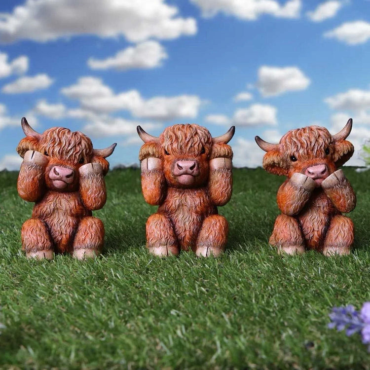 Highland Cows