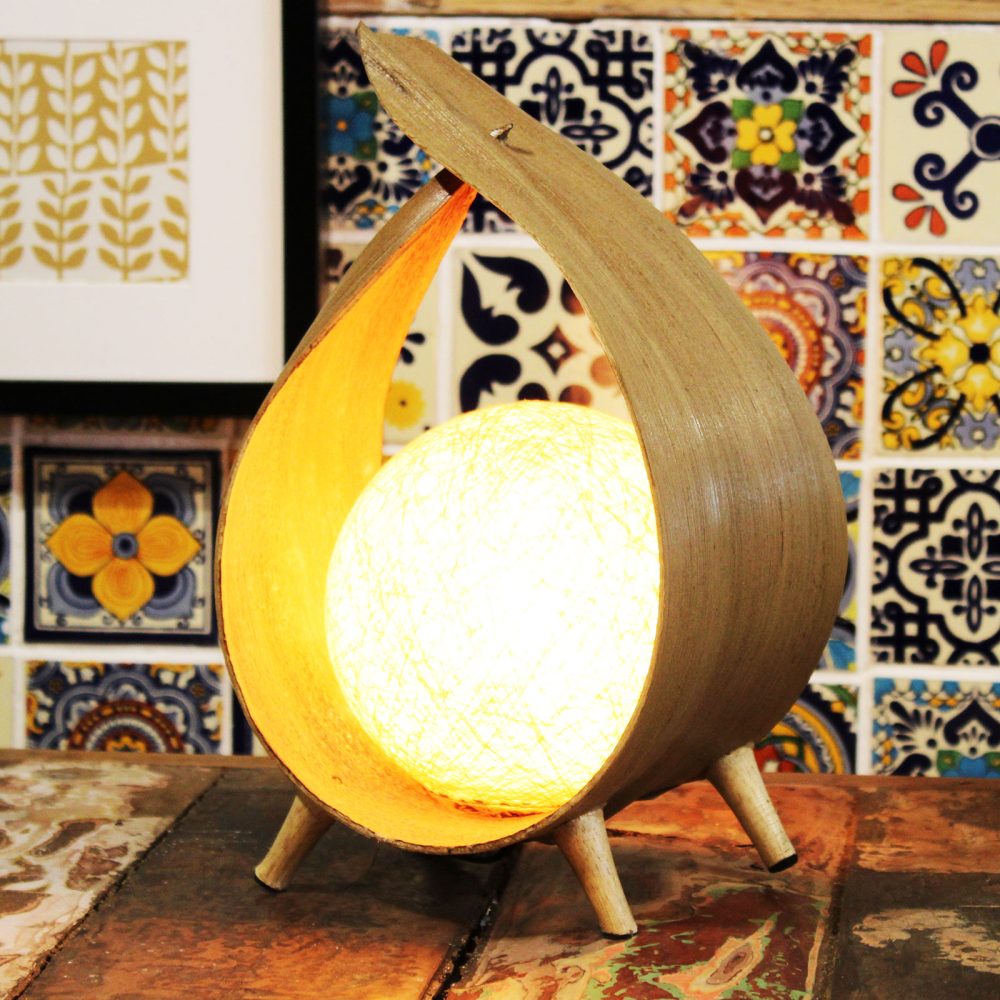 Coconut Lamps