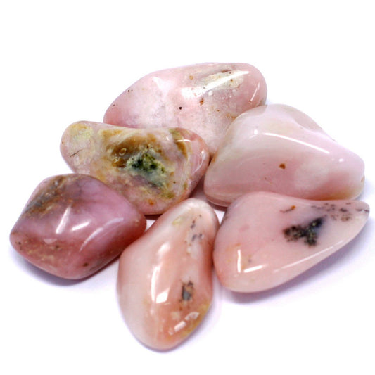Peruvian opal Large 24 Pack
