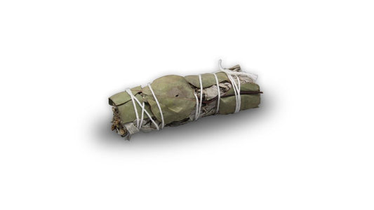 Smudge Stick - White Sage and Eucalyptus 10 cm