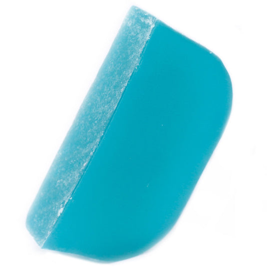 Tea Tree and Peppermint - Argan Solid Shampoo