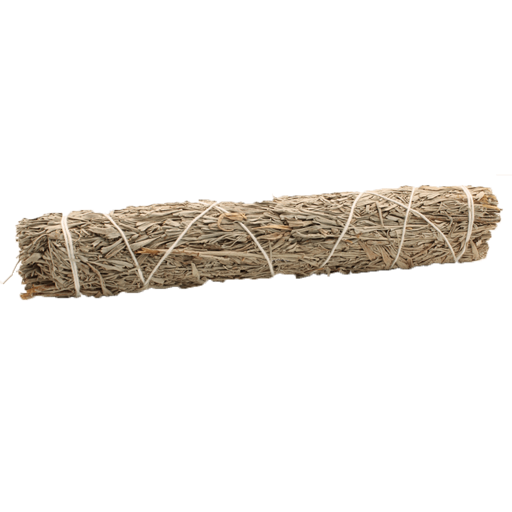 Smudge Stick - Blue Sage 22.5 cm