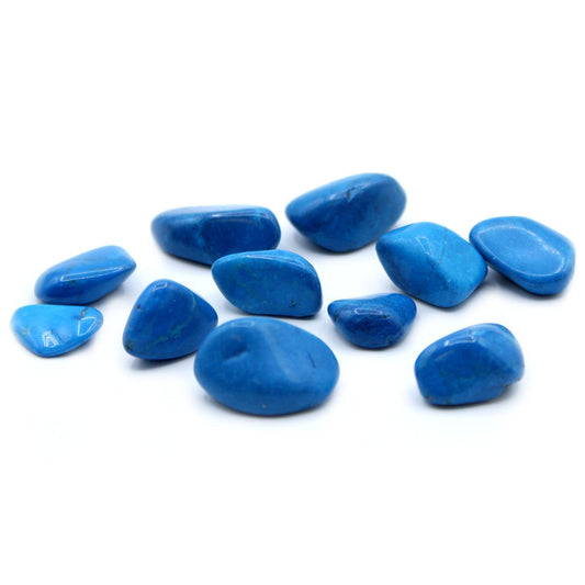 Blue Howlite Medium 24 Pack