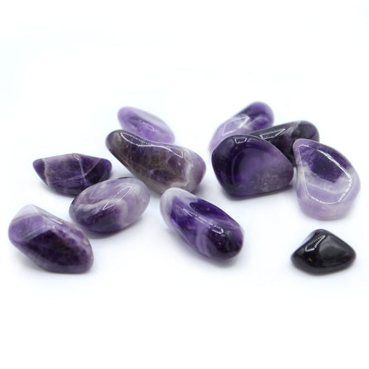 Amethyst Banded Grade A Large 24 Pack