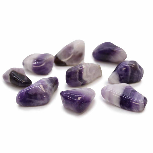 Amethyst Banded (Grade B) Medium 24 Pack