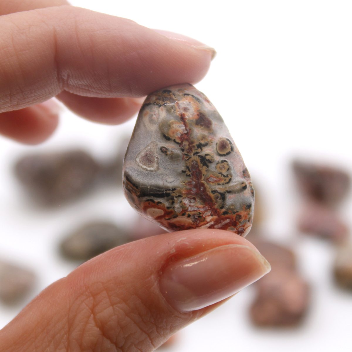 Fingers hold a leopard skin jasper tumbled stone. Other stones rest on a white surface.