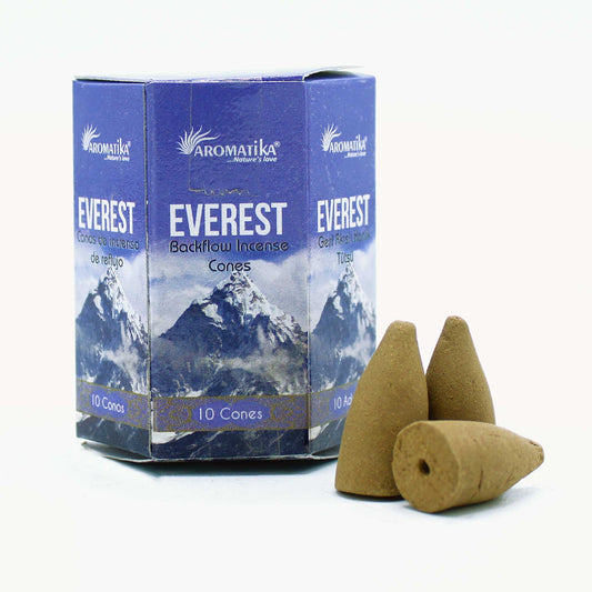 Pack of 10 Masala Backflow Cones - Everest