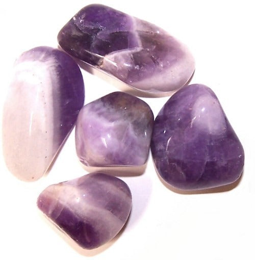Amethyst Banded Large 24 Pack