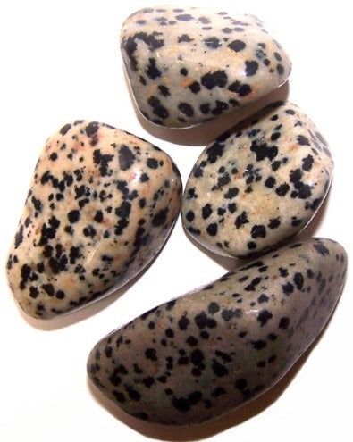Dalmation Stone Large 24 Pack