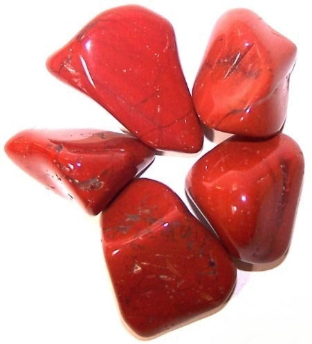 Red Jasper Large 24 Pack