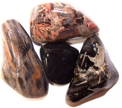 Silverleaf Jasper Large 24 Pack
