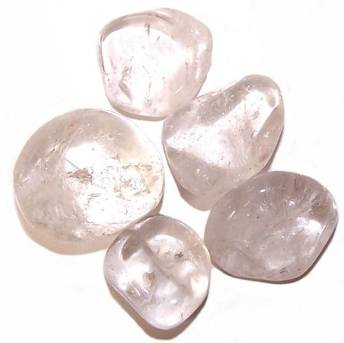 Rock Crystal Large 24 Pack