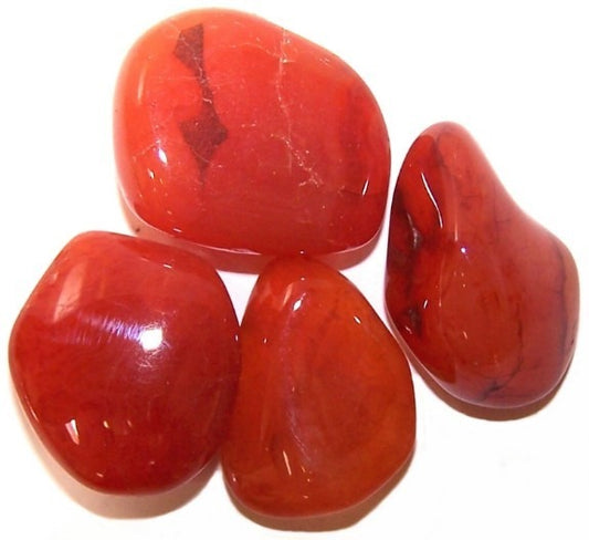 Carnelian Large 24 Pack