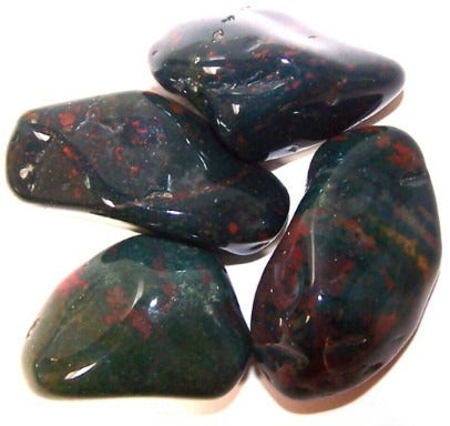 Bloodstone Large 24 Pack