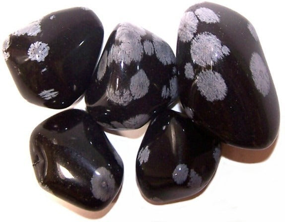 Obsidian Snowflake Large 24 Pack