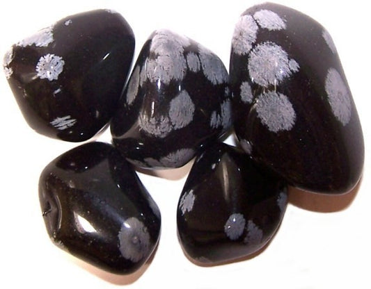 Obsidian Snowflake Large 24 Pack