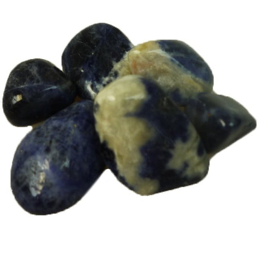 Sodalite Large 24 Pack