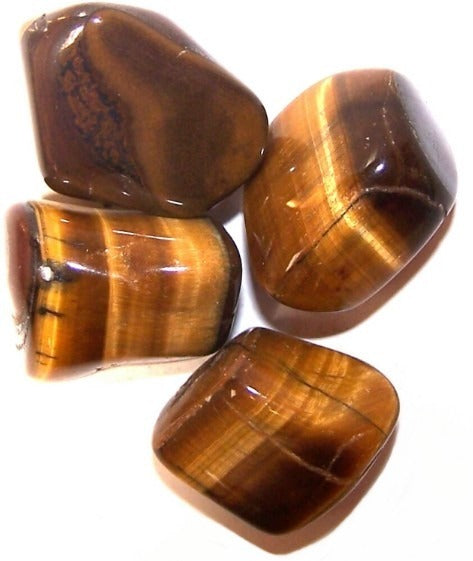 Tiger Eye Large 24 Pack