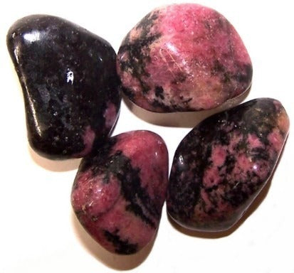 Rhodonite Large 24 Pack
