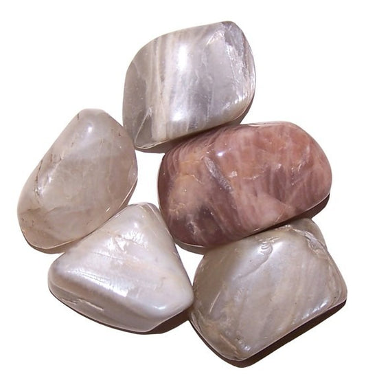 Moonstone Large 24 Pack