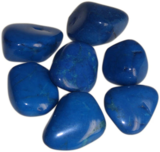 Blue Howlite Large 24 Pack
