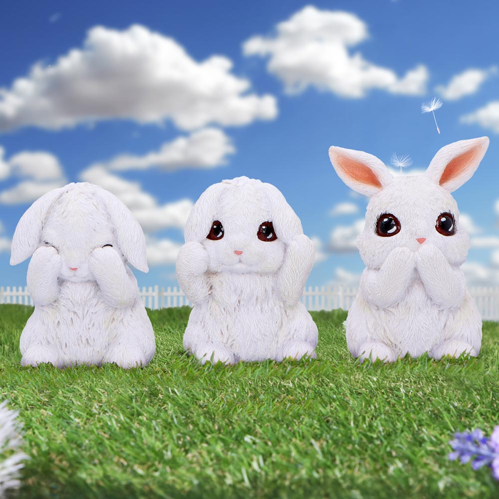 Three Wise Bunnies