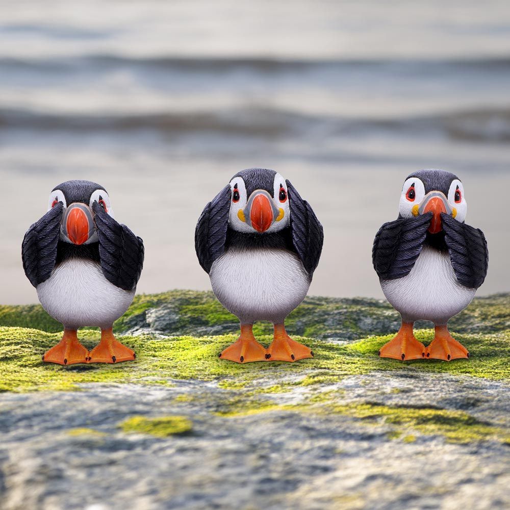 Three Wise Puffins